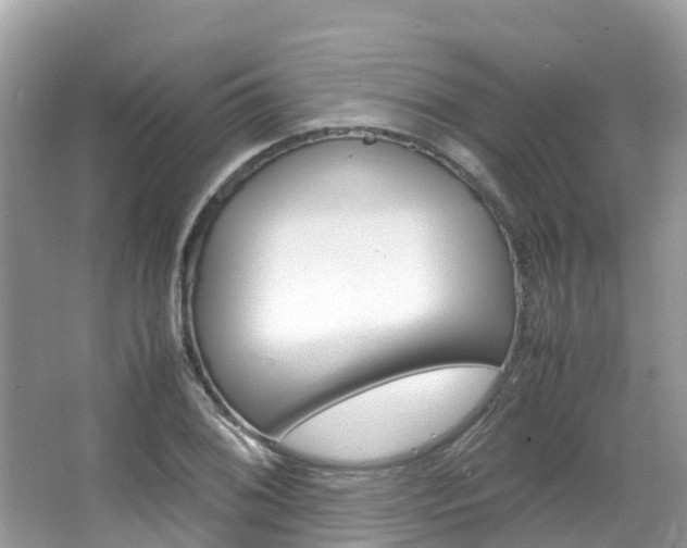 X0000067381076200603311014