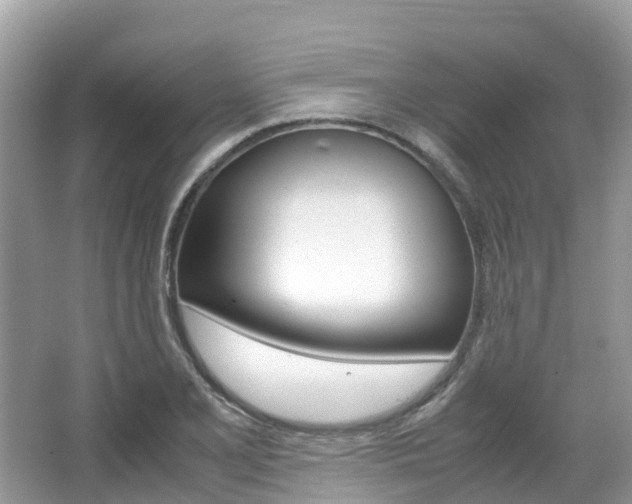 X0000067381077200603311014