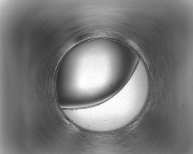 X0000067381089200603311014