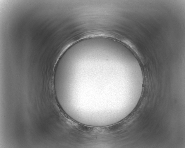 X0000067381097200603311014