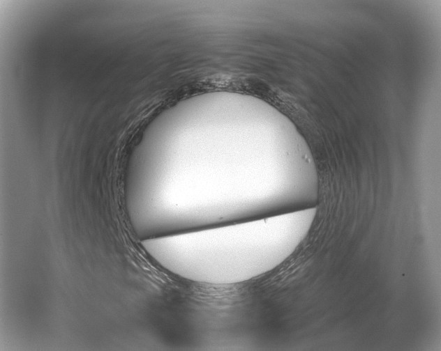 X0000067381105200603311013