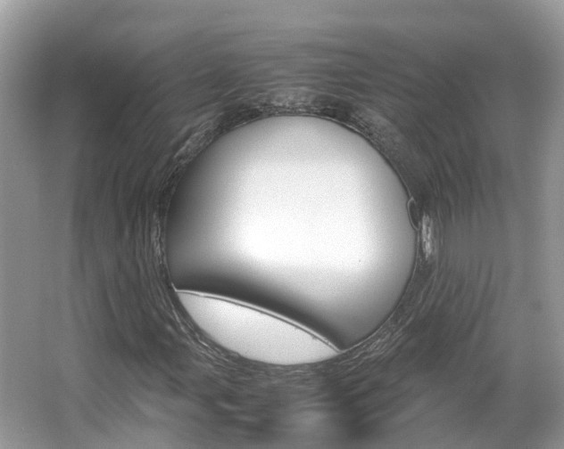 X0000067381107200603311013