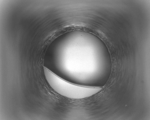 X0000067381110200603311013