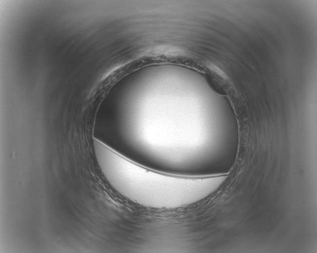 X0000067381112200603311013