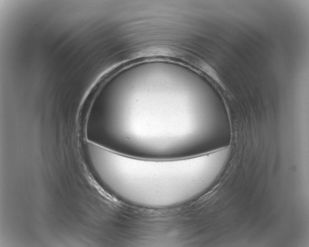 X0000067381116200603311013