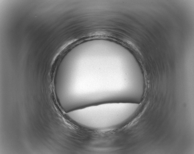 X0000067381117200603311013
