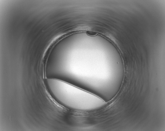 X0000067381123200603311013