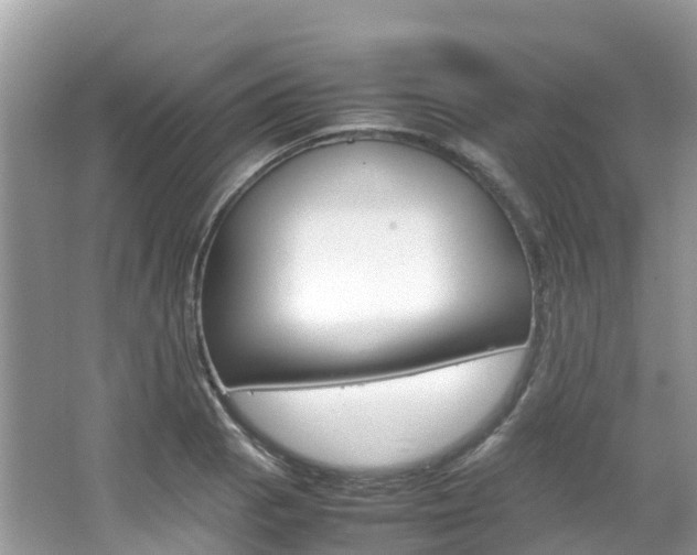 X0000067381129200603311013