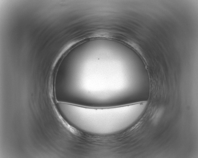 X0000067381131200603311013