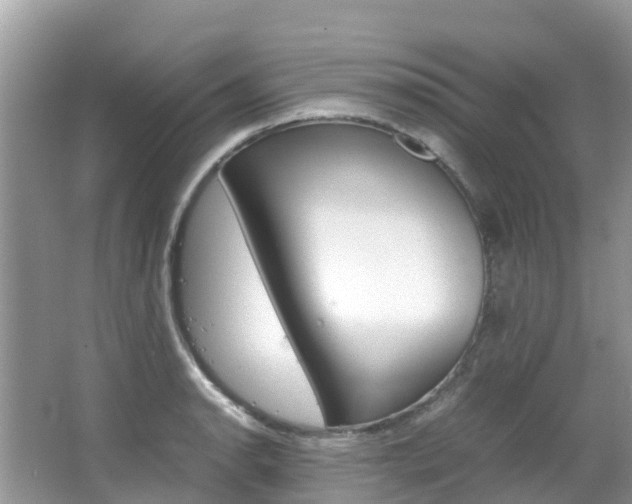 X0000067381134200603311013