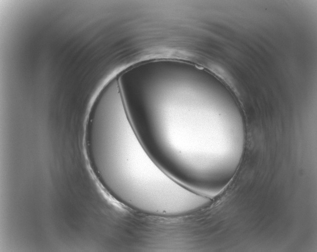 X0000067381136200603311013