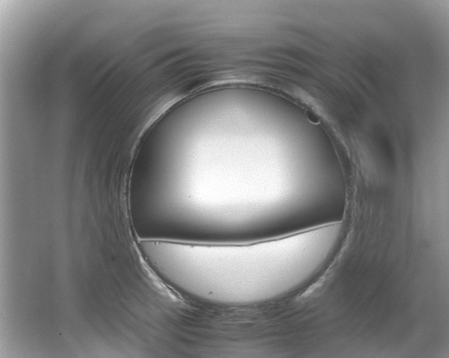 X0000067381137200603311013