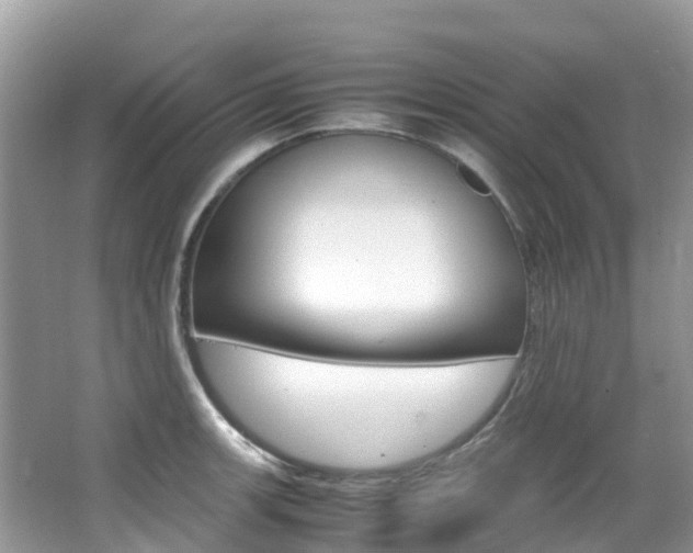 X0000067381139200603311013