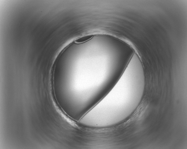 X0000067381142200603311013