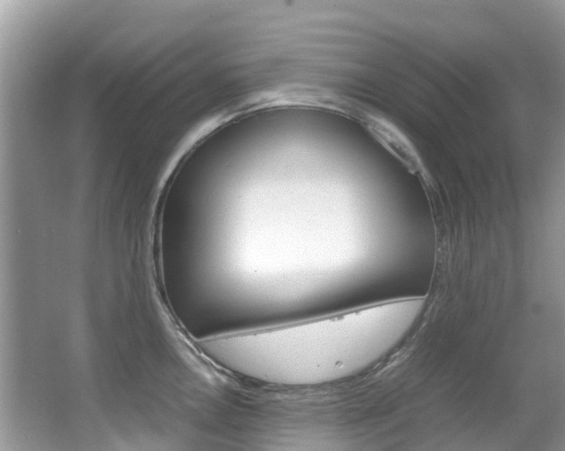 X0000067381146200603311014