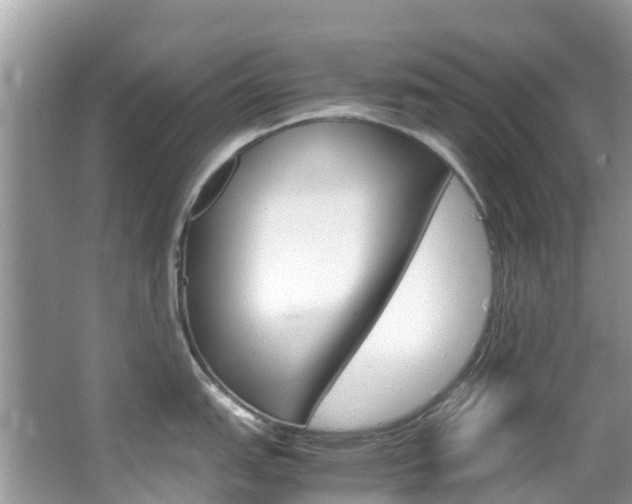 X0000067381151200603311014