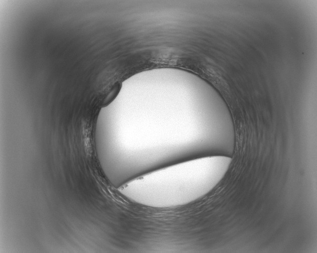 X0000067381154200603311013