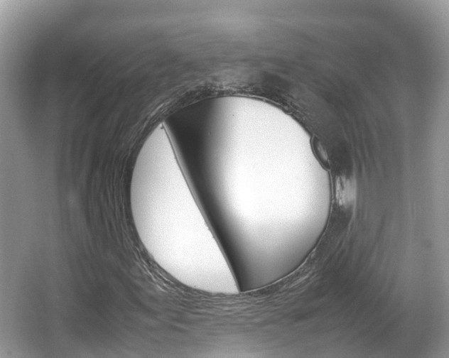 X0000067381155200603311013