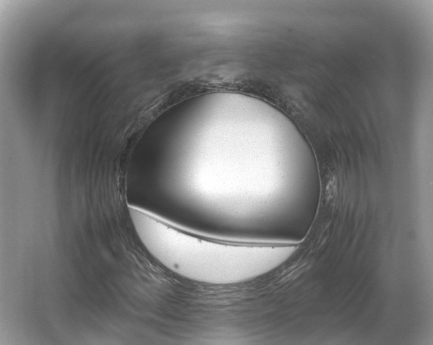 X0000067381156200603311013