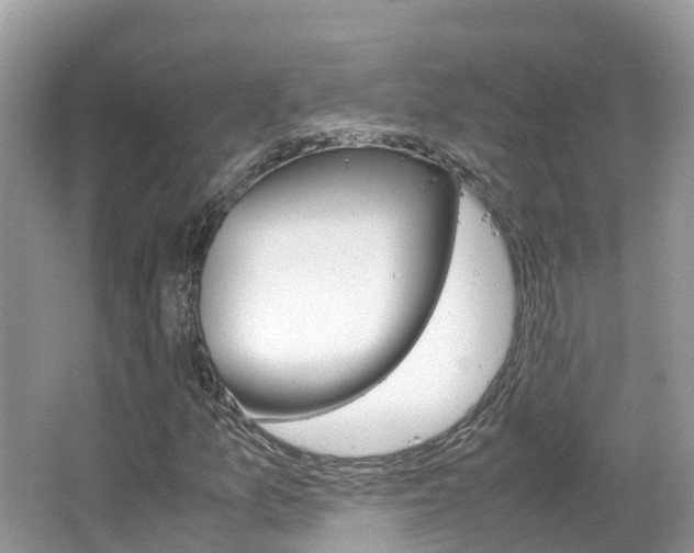 X0000067381157200603311013