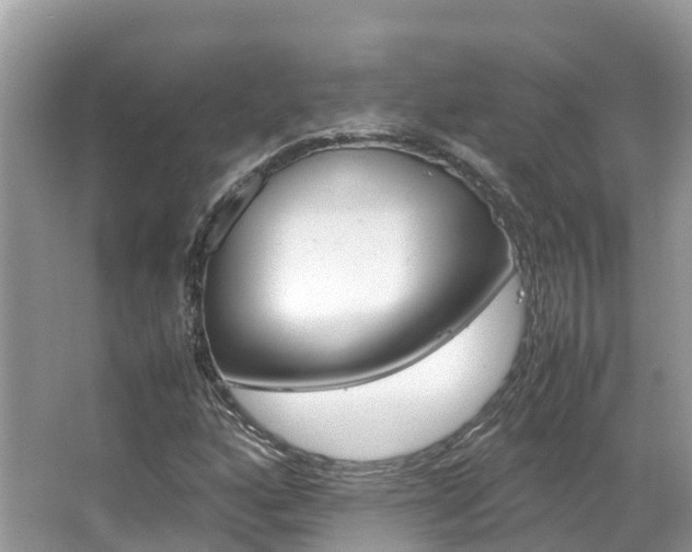 X0000067381160200603311013