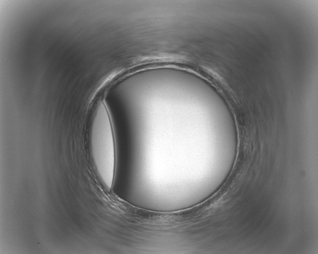 X0000067381163200603311013