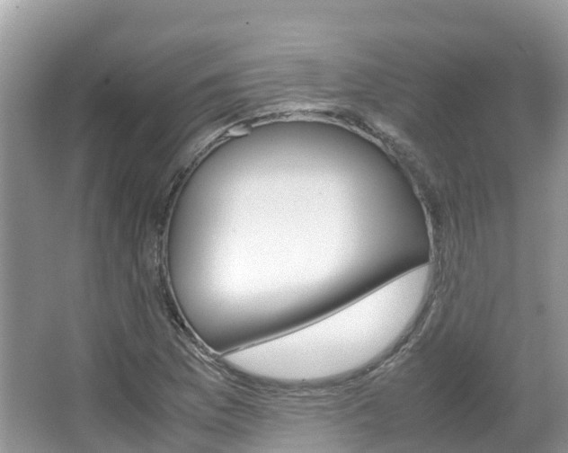 X0000067381169200603311013