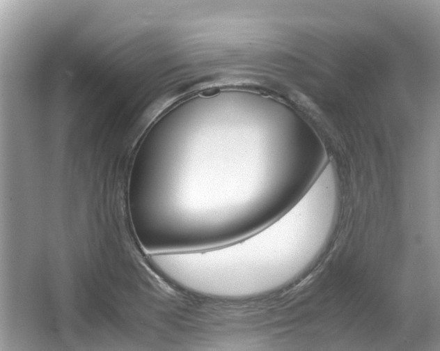 X0000067381177200603311012