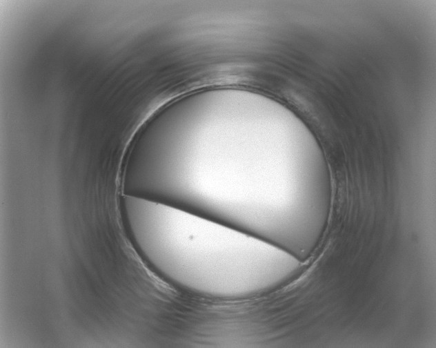 X0000067381178200603311012