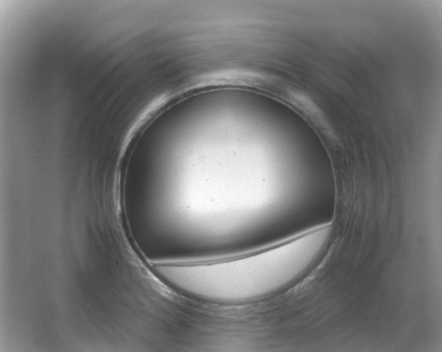 X0000067381180200603311012