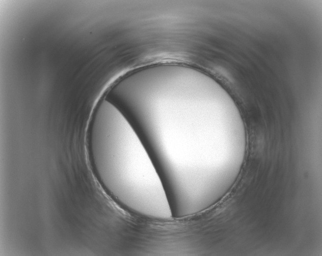 X0000067381182200603311012