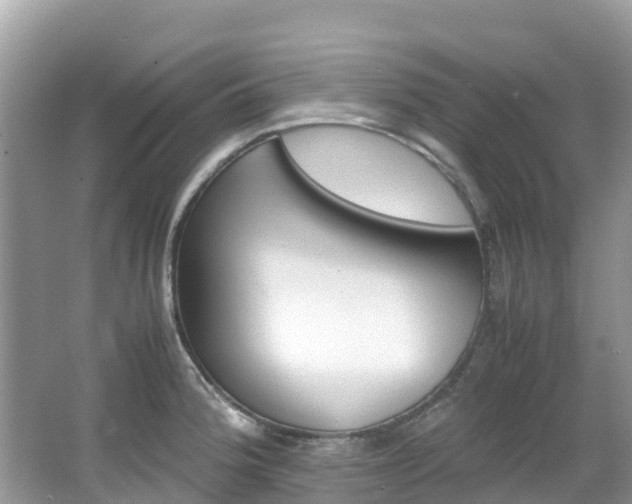 X0000067381188200603311012
