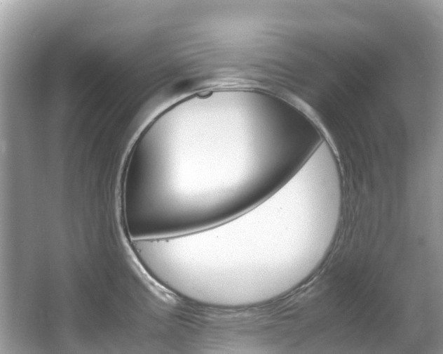 X0000067381195200603311012