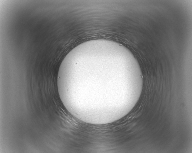 X0000067381202200603311011