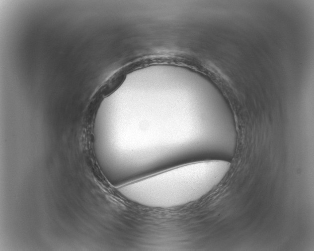 X0000067381208200603311011