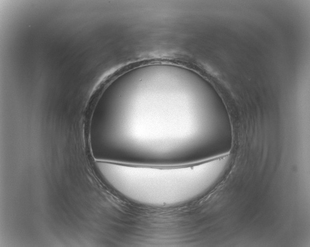 X0000067381214200603311011