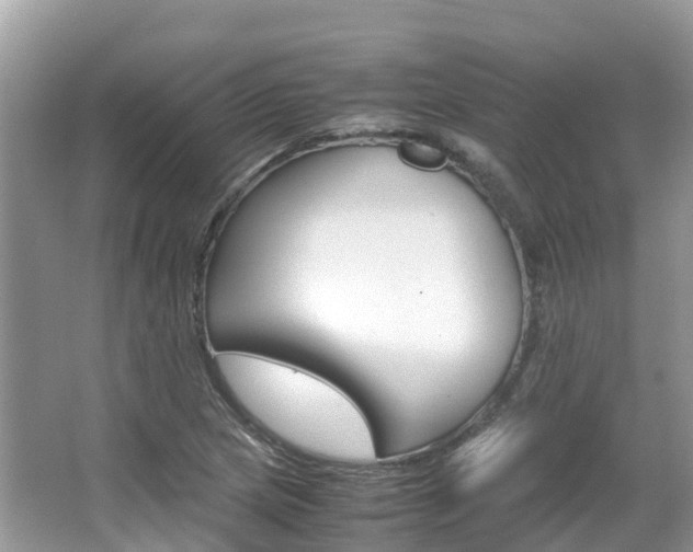 X0000067381217200603311011