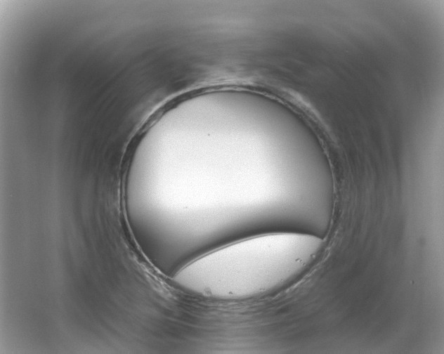 X0000067381220200603311012