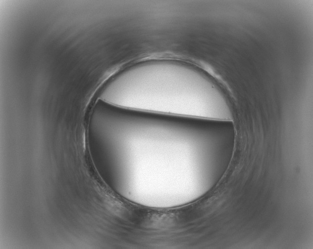 X0000067381221200603311012