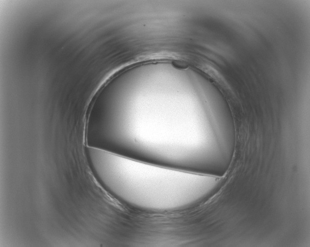 X0000067381228200603311012
