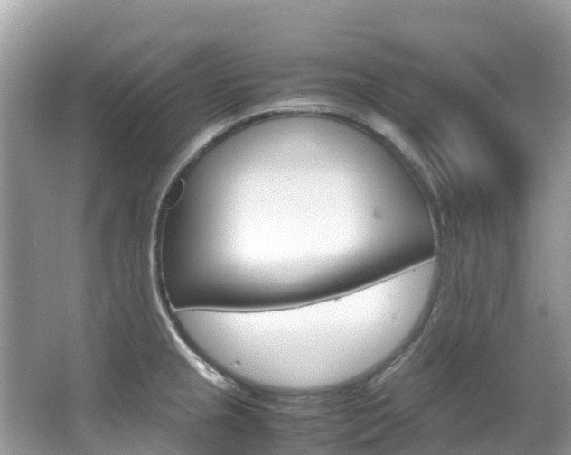 X0000067381237200603311012