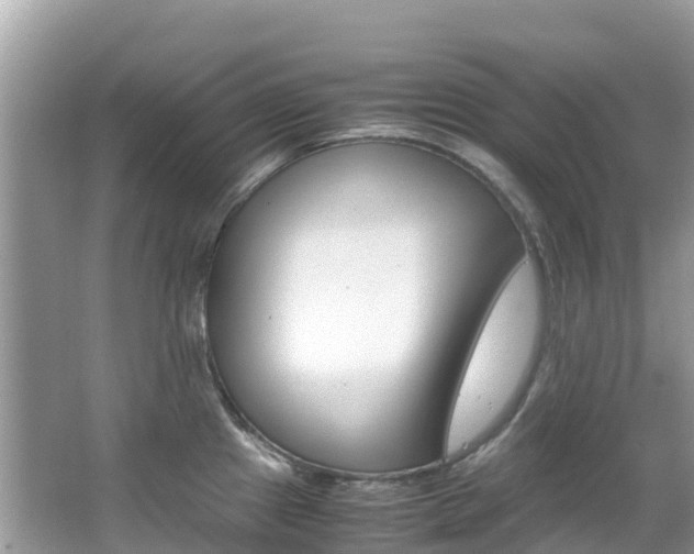 X0000067381241200603311012