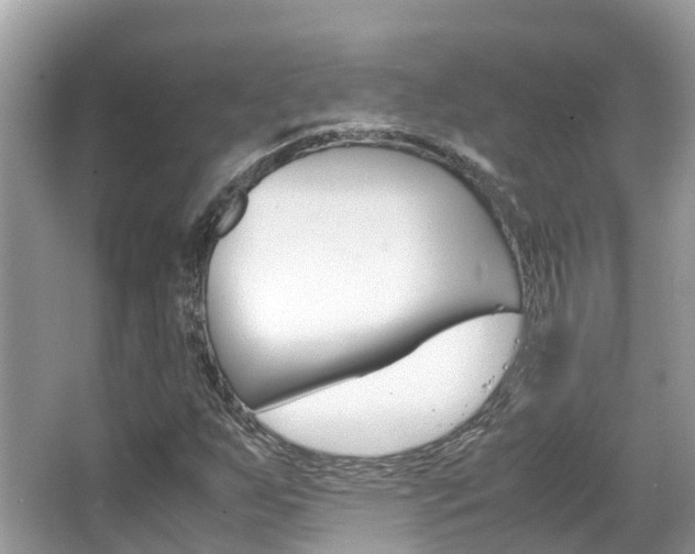 X0000067381255200603311011