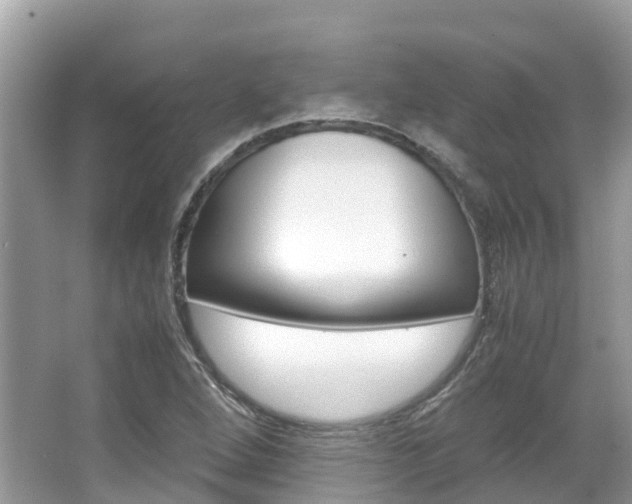 X0000067381264200603311011