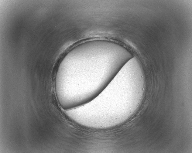 X0000067381267200603311011