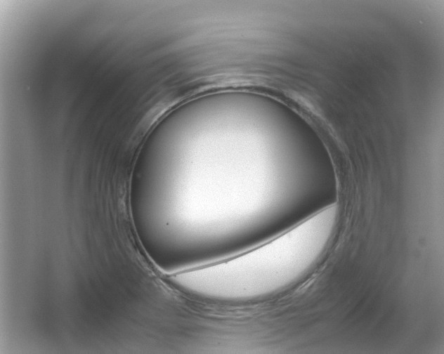X0000067381273200603311011