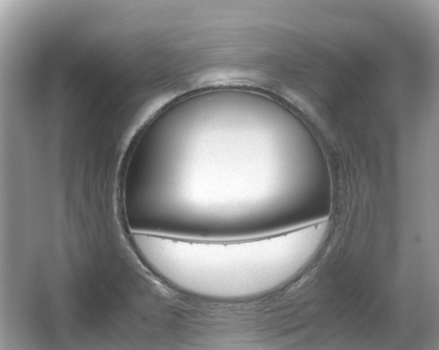 X0000067381277200603311011