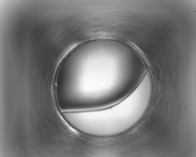 X0000067381293200603311010