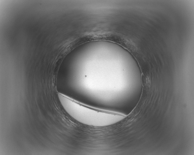 X0000067381300200603311010