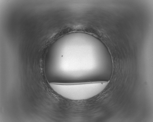 X0000067381301200603311010
